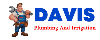 Trusted plumber in BRAXTON